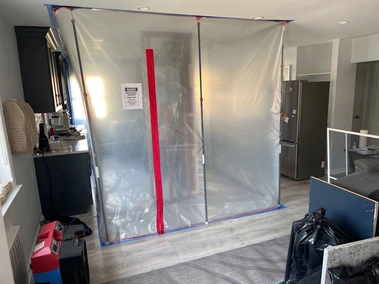Mold Remediation